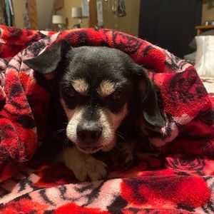 Meet your Posher, Shawn